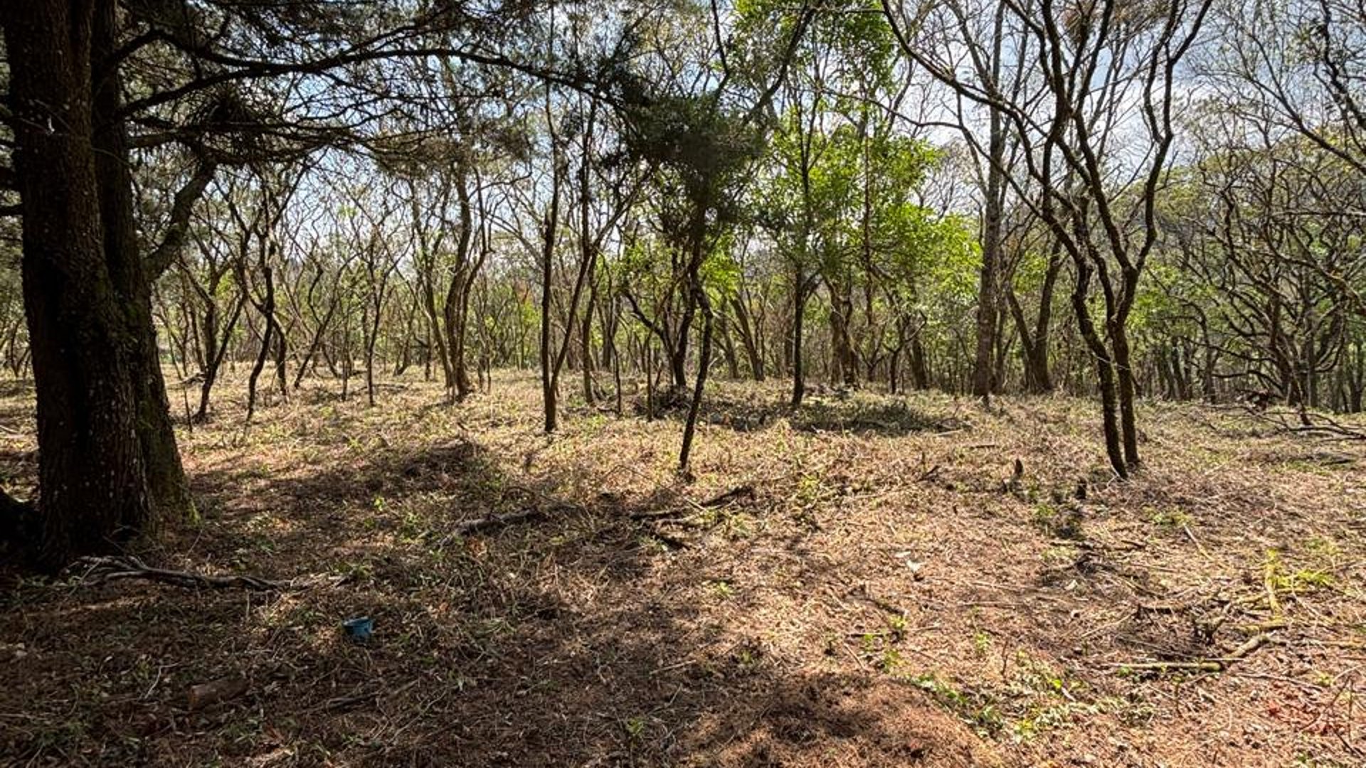 Venta de Terrenos en Condominio Casa & Campo - Miniatura 3