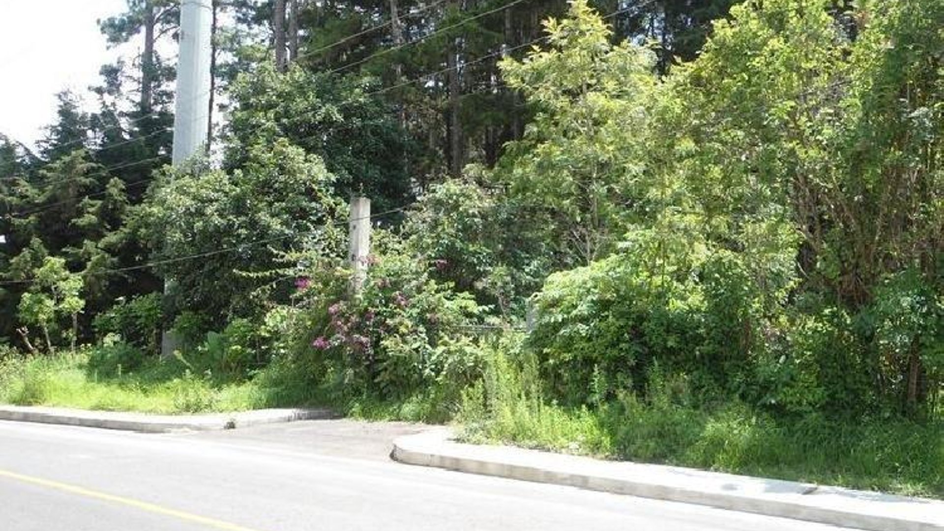 Terreno comercial en renta Carretera a El Salvador