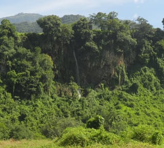 Finca en VENTA  de 30.78 caballerías en Cobán