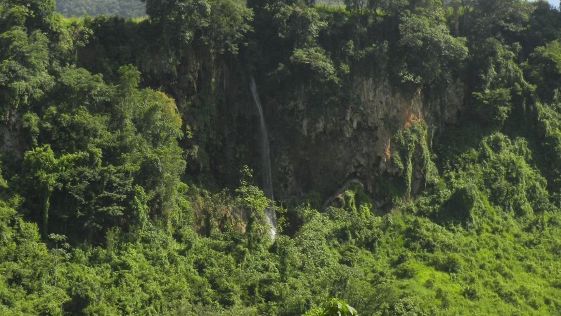 Finca en VENTA  de 30.78 caballerías en Cobán