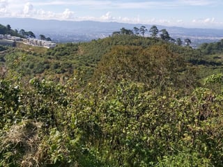 Vendo terreno en Pulté 1155.58m2 - 5