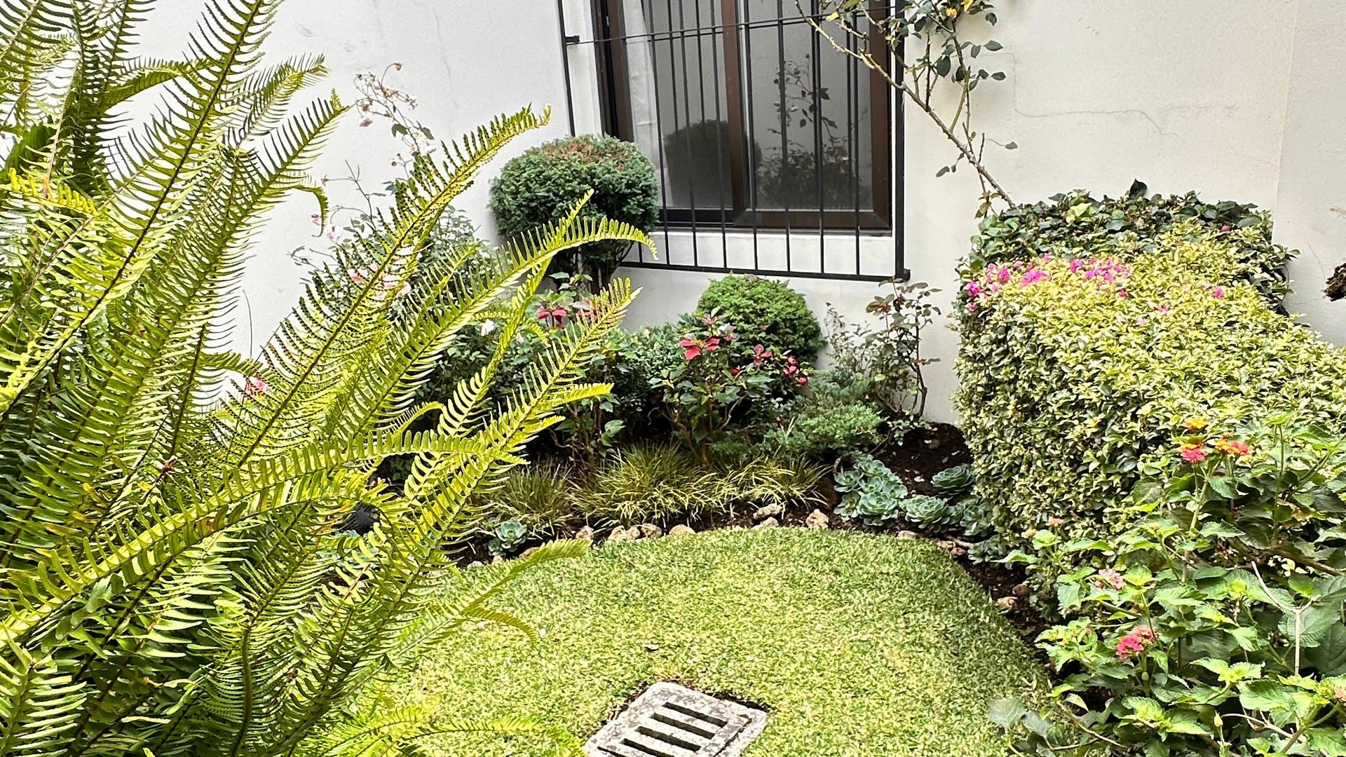Venta de casa de 1 nivel en Lazos de Fraijanes - Miniatura 19