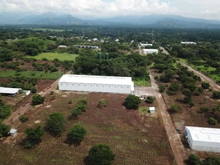 Bodegas en ALQUILER en Escuintla - 5