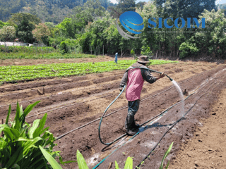 Finca for Sale in Antigua Guatemala - Image 8
