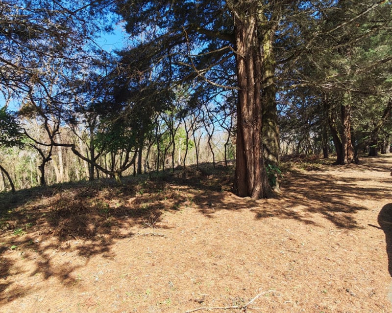 Terreno en Casa   Campo Carretera El Salvador en Venta