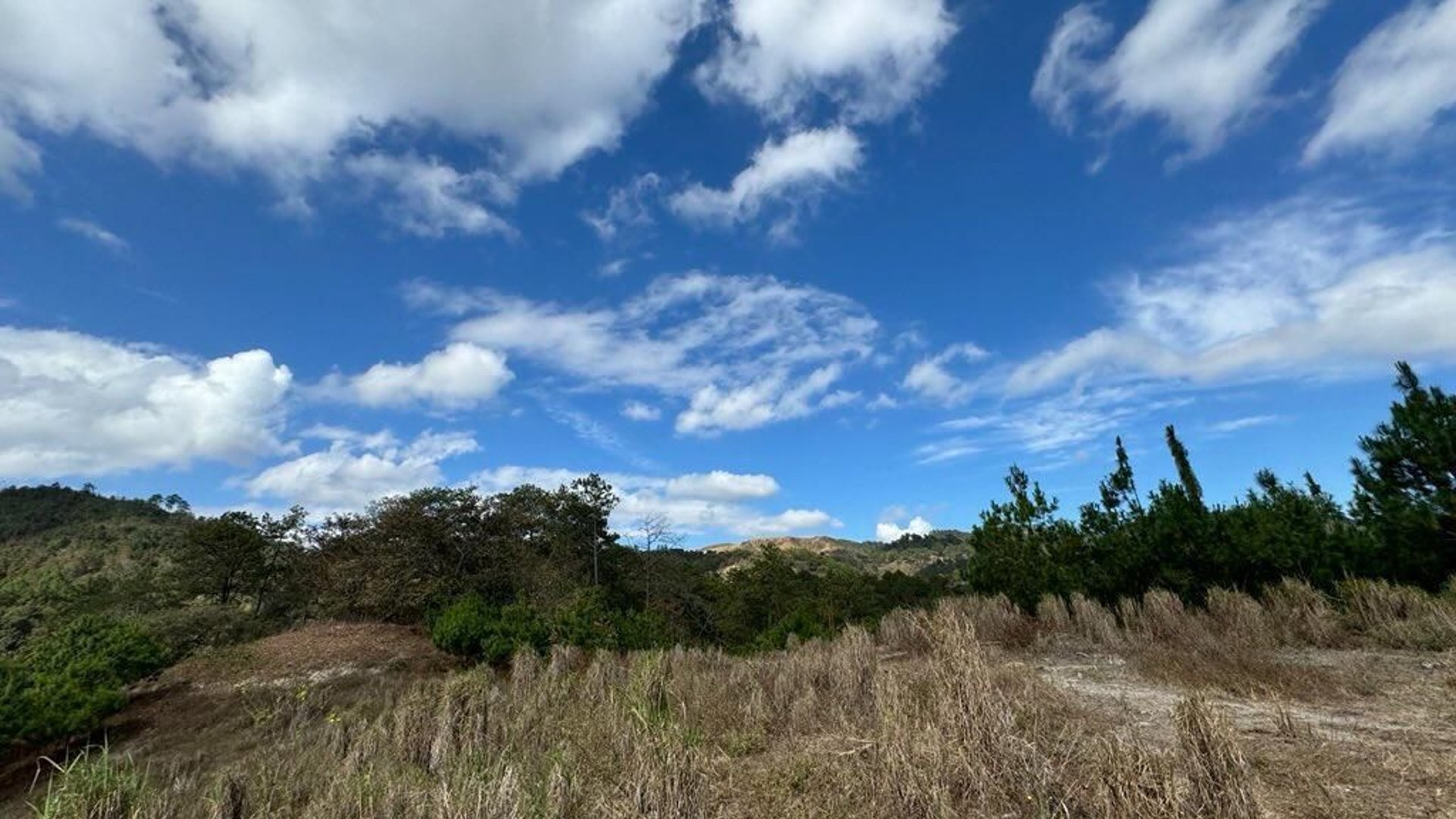 SAN PEDRO AYAMPUC/ FINCA EN VENTA PARA DESARROLLO - Miniatura 12