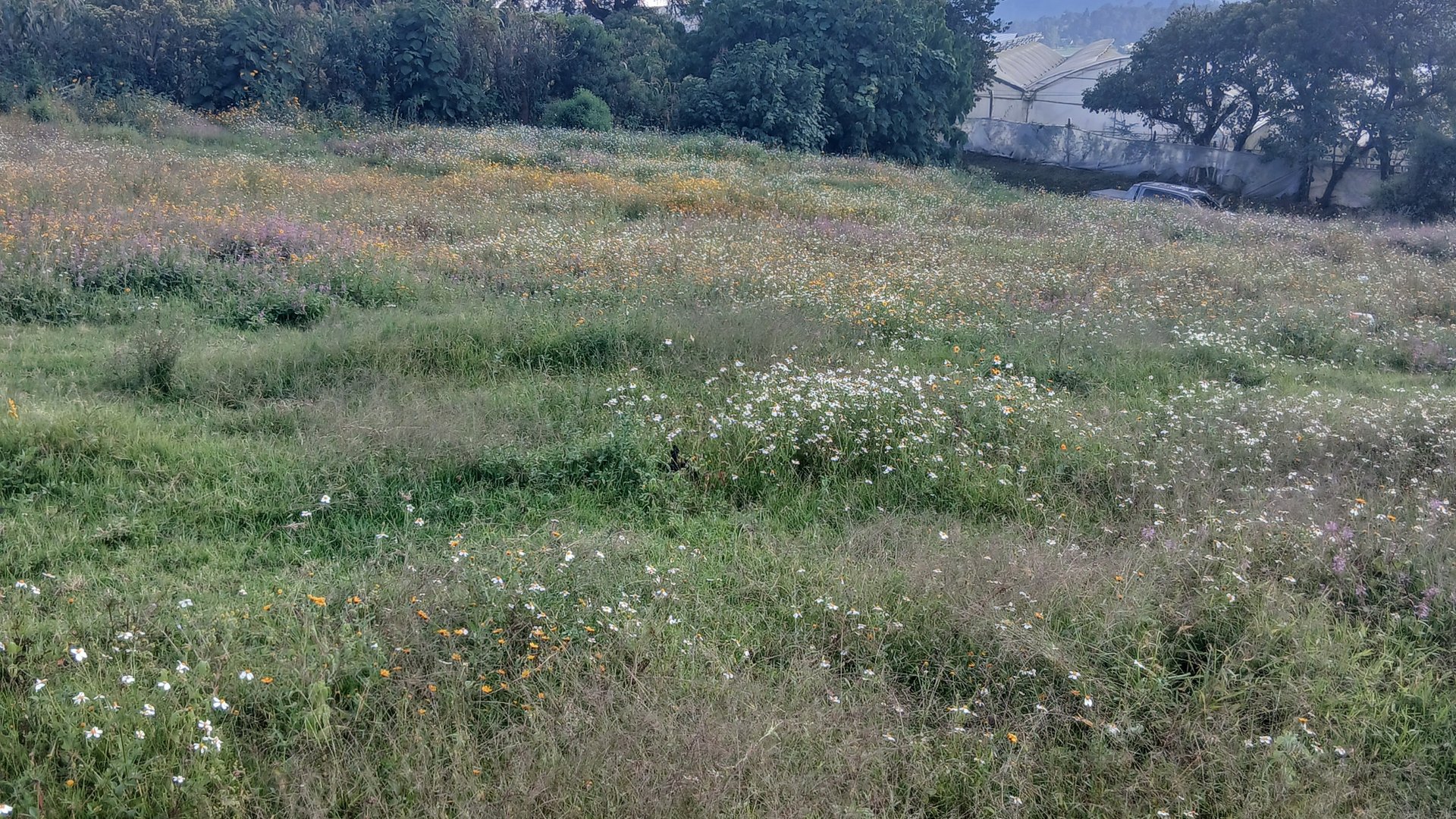 Terreno Comercial en Renta en Zaragoza, Chimaltenango - Miniatura 3