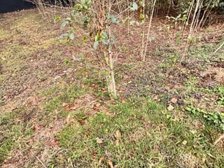 Terreno en venta en Antigua Gardens - 2