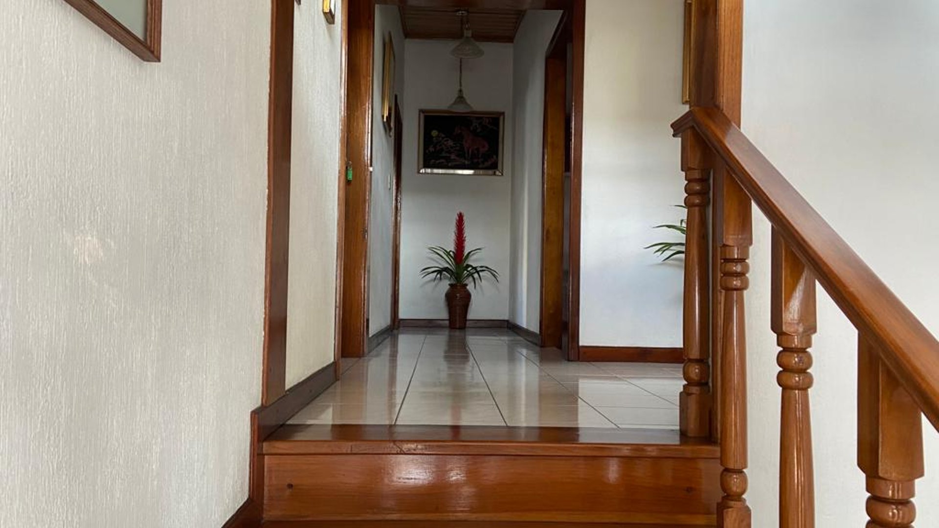 PROPIEDAD EN VENTA / RENTA EN SAN LUCAS - Miniatura 13