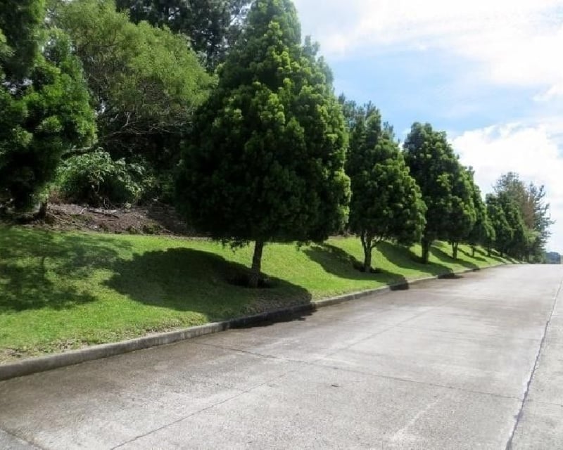 Terreno en venta Premier Campestre, CES