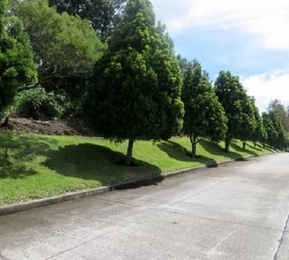Terreno en venta Premier Campestre, CES