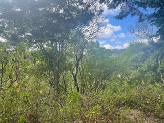 Terreno en Venta en Granja Buenos Aires - 4