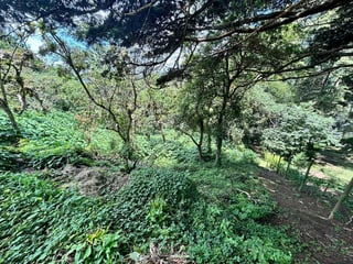 Terrenos en venta Vistalvalle,  km 9 CAES - 3