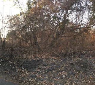 Terreno en Venta en Quintas La Ponderosa Masagua