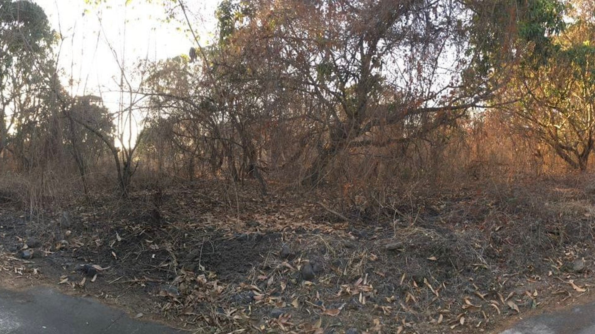 Terreno en Venta en Quintas La Ponderosa Masagua