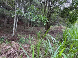 Terreno en Venta en Rancho Verde Fraijanes! - 3