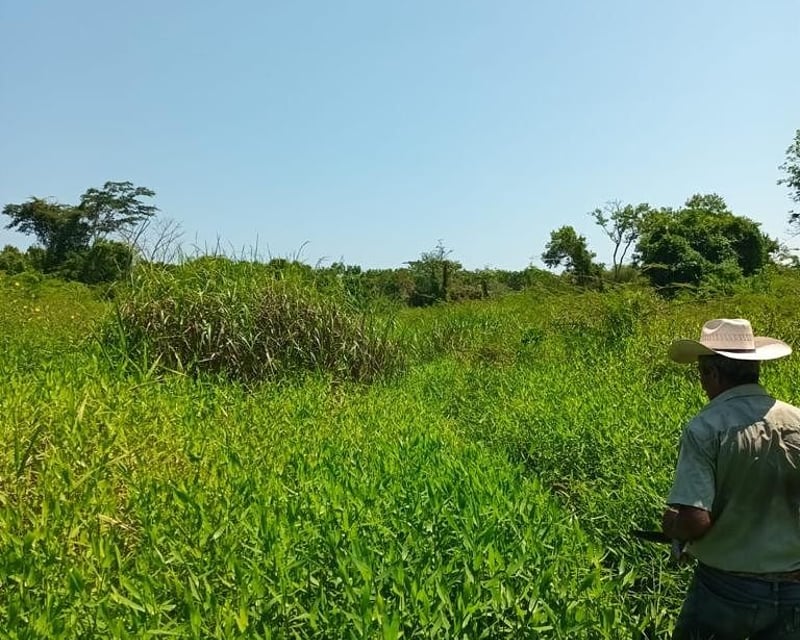FINCA EN VENTA – SAN ANDRÉS, PETÉN