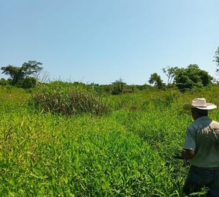 FINCA EN VENTA – SAN ANDRÉS, PETÉN