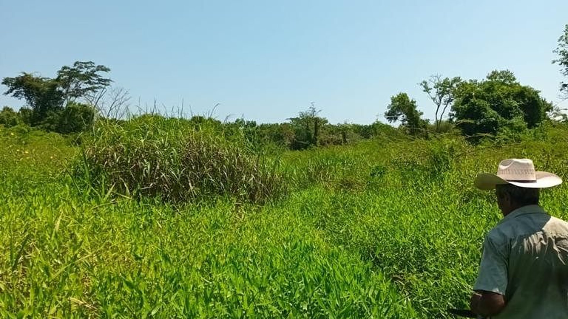 FINCA EN VENTA – SAN ANDRÉS, PETÉN