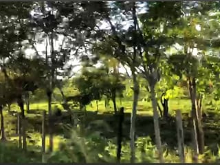 Terreno en Venta en La Libertad, Peten - Image 8