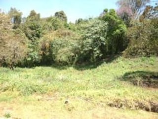 Terreno en Venta en Carretera a El Salvador km 20.5 - 5