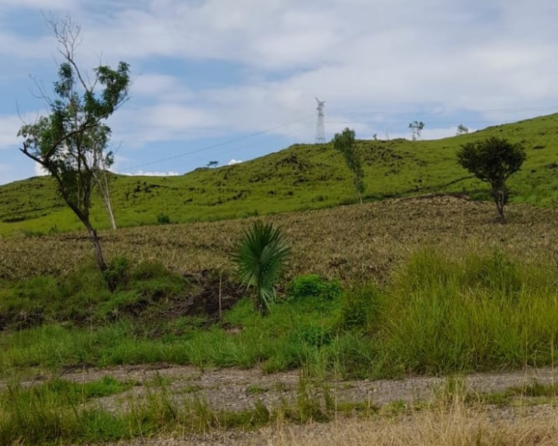 Vendo Terreno Plano en Carretera a El Salvador