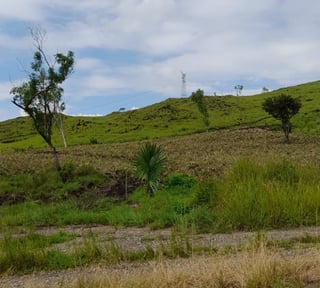 Vendo Terreno Plano en Carretera a El Salvador