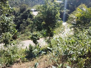 Terreno en venta en Saquija Cahabon, Alta Verapaz  - 3