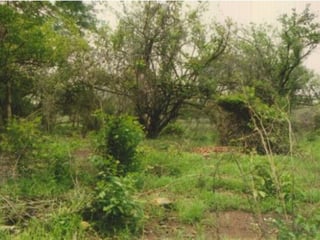 Terreno en venta Costa Linda Autopista Puerto Quetzal - 4