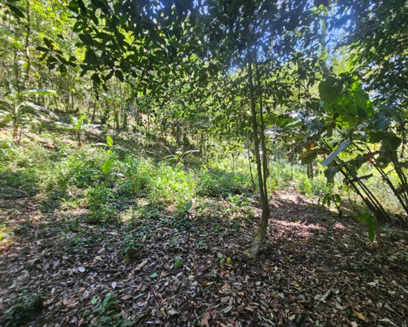 HACIENDA EN VENTA - FINCA EL MAGUEY