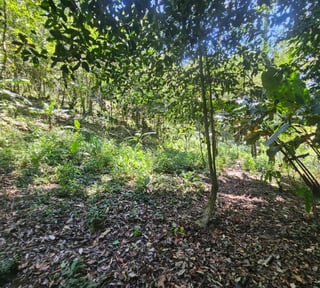HACIENDA EN VENTA - FINCA EL MAGUEY