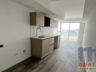 Apartamento en Venta, Zona 13 (V8139) - 4