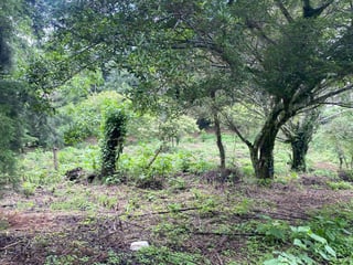 Vendo Terreno en Granja Paraíso, El Cerrito, Fraijanes - 3