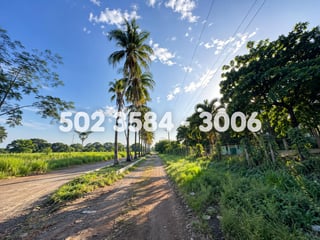 TERRENO EN VENTA EN ESCUINTLA, GUATEMALA PARA BODEGA O INVERSIÓN - 2