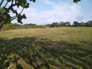 Terreno en alquiler KM 235 Aldea Las Palmas Coatepeque - 5