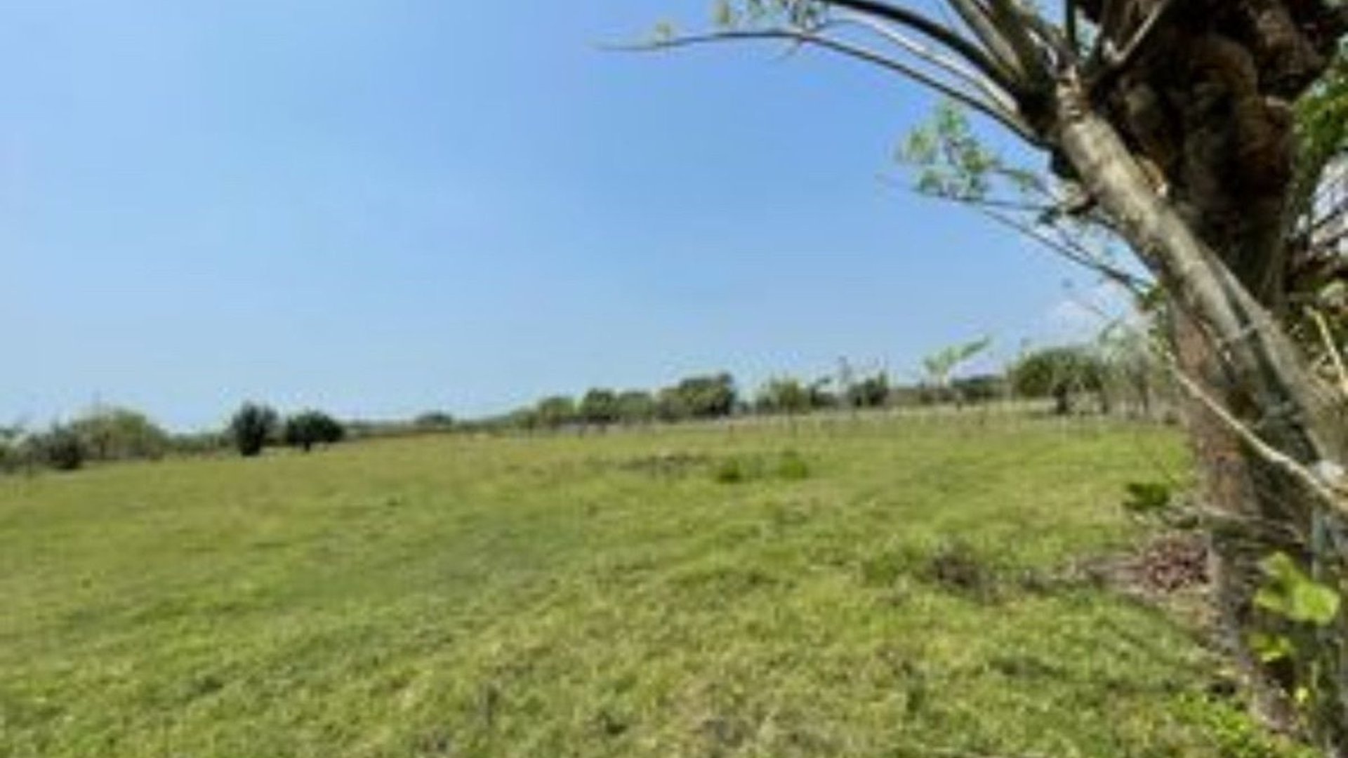 Terreno en Venta I Puerto San José - Miniatura 5