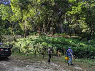 SAN LUCAS / TERRENO EN VENTA - Image 1