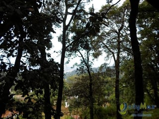 Casa con Potencial para uso Comercial en Venta Mixco - 3