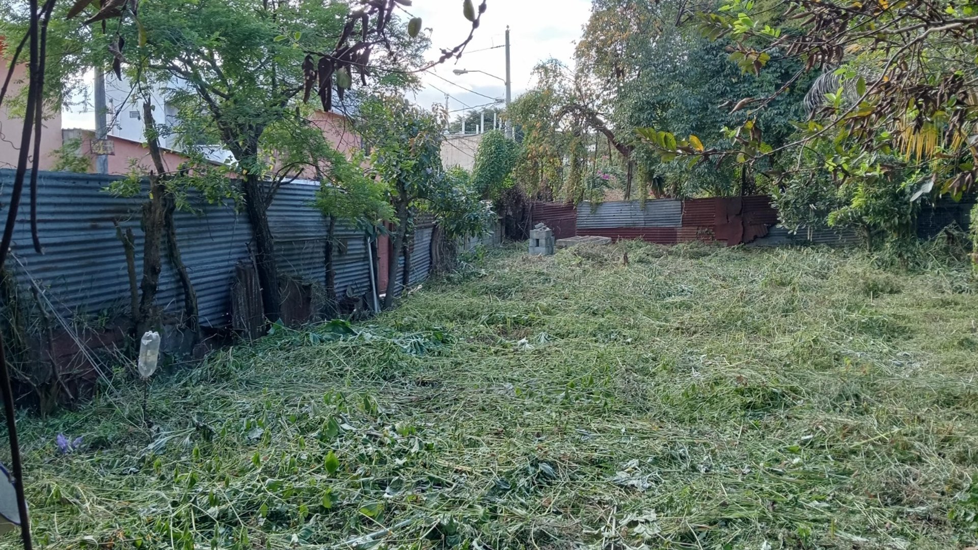 TERRENO EN VENTA – GUAJITOS, LOMA BLANCA | ZONA 21 - Miniatura 7