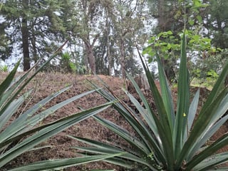 En Venta Terreno en Zona 16 Villa Ecuestre El Pulté - 5