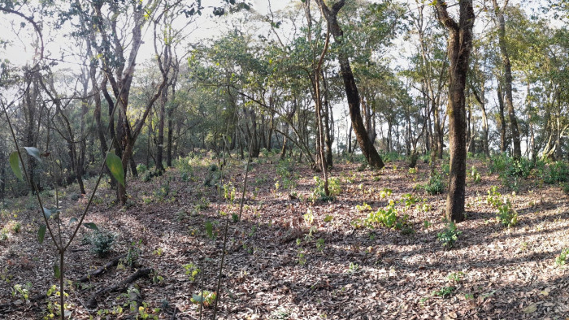 Terreno en Venta en El Encinal Zona 7 Mixco - Miniatura 6