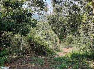 Finca en Venta en Fraijanes Guatemala - 4