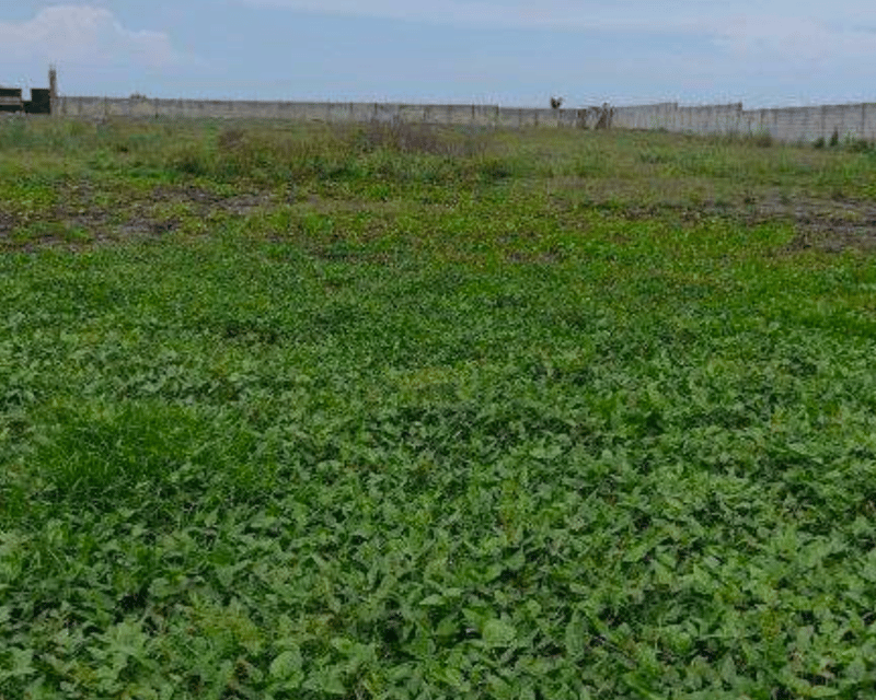 Terreno en Venta frente al mar en Puerto San José, Escuintla 