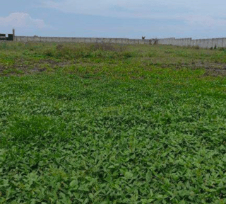 Terreno en Venta frente al mar en Puerto San José, Escuintla 