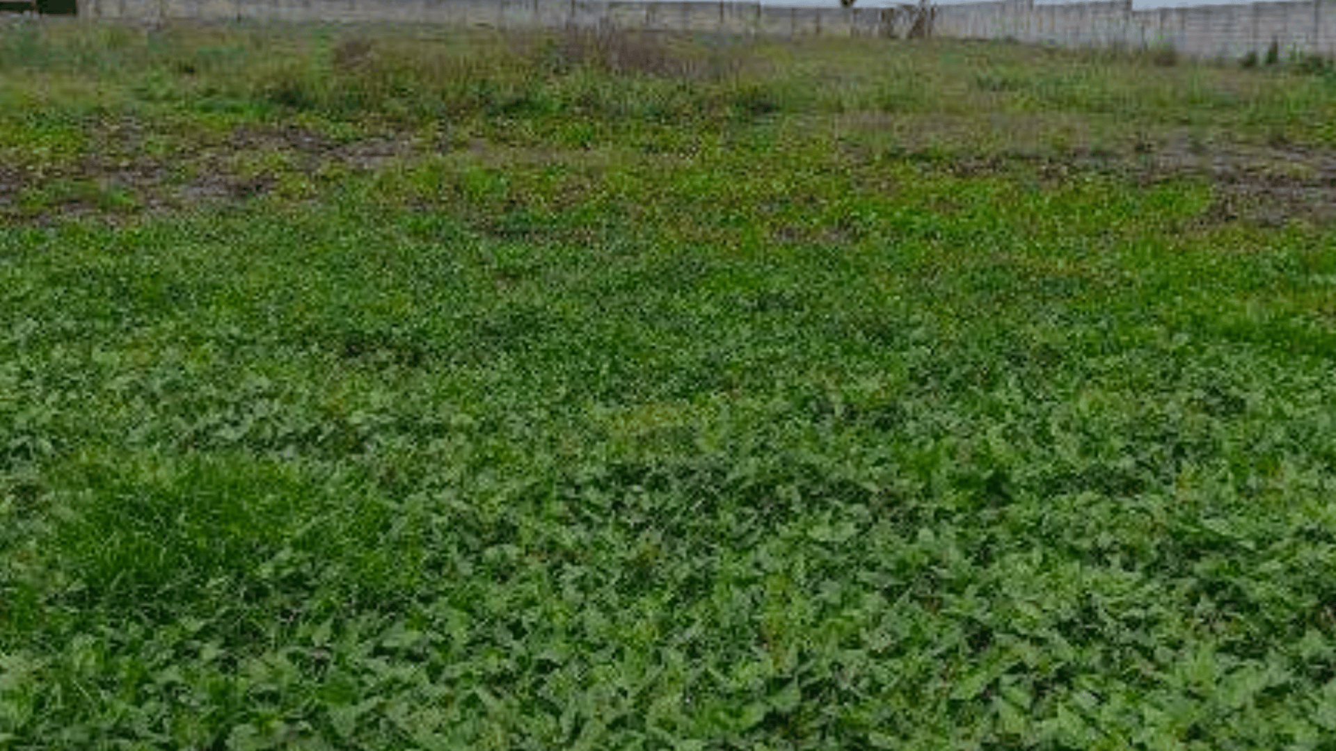 Terreno en Venta frente al mar en Puerto San José, Escuintla 