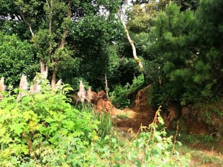 Terreno en venta en Piedra Parada, CES Guatemala - Image 13