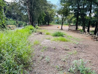 Renta de terreno km17.5 a un costado de Santa Clara V.N - Image 4