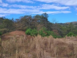 Finca en VENTA en San Pedro Ayampuc - 3