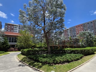 Apartamento con jardin en Venta Zona 14 La Villa - 2