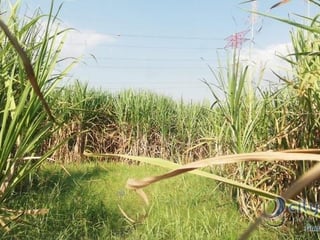 Finca en venta de 115,711.70 vrs. en Masagua, Escuintla - 4